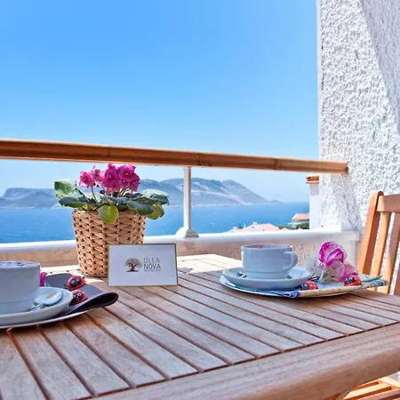 Hotel Olea Nova 3*